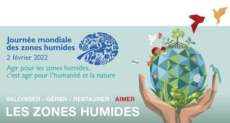 Les zones humides mises à l’honneur dans toute la France dès le samedi 29 janvier ! | Variétés entomologiques | Scoop.it