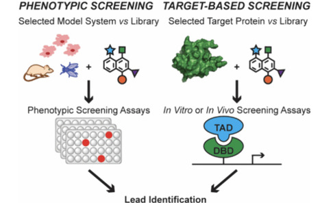 From Concepts to Inhibitors: A Blueprint for Targeting Protein–Protein Interactions | chem rev | RMH | Scoop.it
