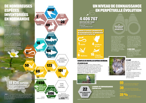 Panorama de la Biodiversité - Agence normande de la biodiversité et du développement durable | Biodiversité | Scoop.it