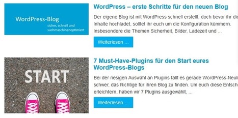 WordPress Grundwissen: 12 hilfreiche Artikel für Neulinge | Wordpress-Webdesign | Scoop.it