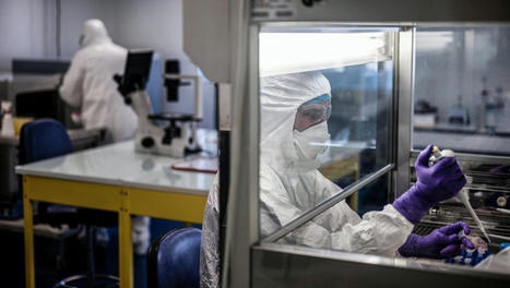 Covid-19 : Ba.2, Ba.1, Deltacron... quatre questions pour comprendre les combinaisons de variants et leur dangerosit&eacute; | Crise sanitaire | Scoop.it