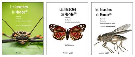 [En souscription] Coffret 3 tomes - "Les Insectes du Monde" Biodiversité, classification, clés de détermination des familles | Variétés entomologiques | Scoop.it