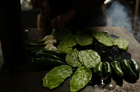 The Health Benefits of Nopal: A Nutritious and Versatile Vegetable | Call: 915-850-0900 or 915-412-6677 | The Gut "Connections to Health & Disease" | Scoop.it