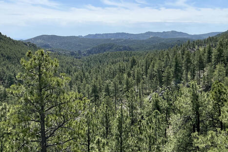 If public lands go up for sale, so will America's frontier spirit | by Brett Koenecke | SouthDakotaSearchlight.com | @The Convergence of ICT, the Environment, Climate Change, EV and HEV Transportation & Distributed Renewable Energy | Scoop.it
