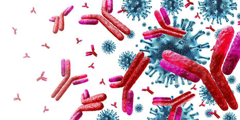 Scientists use AI to build mutation-proof antibodies for SARS-CoV-2 | Virology News | Scoop.it