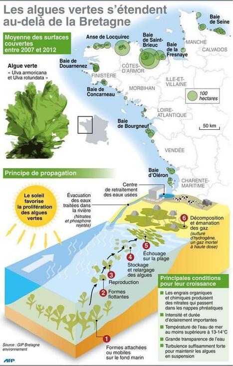 [INFOGRAPHIE] Localisation des sites pollués par les algues vertes en France | Toxique, soyons vigilant ! | Scoop.it