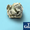 The Economic Method