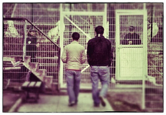 Chroniques (politiques) : Pourquoi la CIMADE a raison de r&acirc;ler | Chronique des Droits de l'Homme | Scoop.it