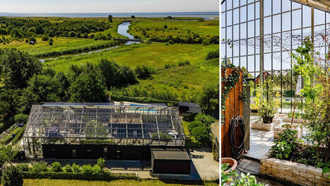 Enorma glashuset i H&auml;ljarp till salu &ndash; f&ouml;r 12,5 miljoner | A1Uutiset | Scoop.it