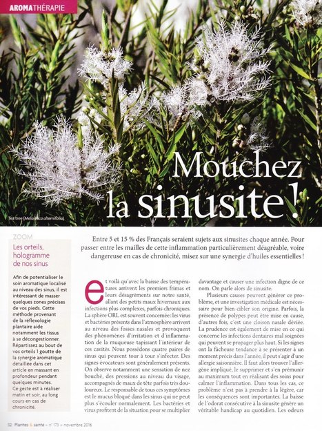 Aromathérapie « Mouchez la sinusite »  | La Cabane aux Arômes | Scoop.it