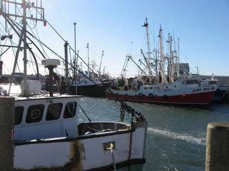 TO THE LAST FISH: Money Trumps Healthy Oceans: Fishing quota debate heats up in US Congress | OUR OCEANS NEED US | Scoop.it