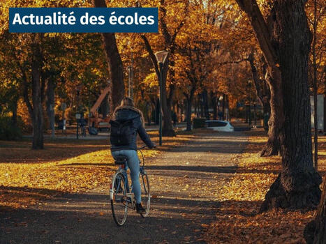 Journée mondiale du vélo : comment mettre le vélo au cœur de nos déplacements en 2025 ? | Revue du web de l'ENTPE, l'école de l'aménagement durable des territoires | Scoop.it