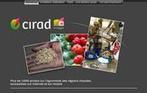 Ciradimages : les photos du Cirad enfin accessibles - CIRAD | SCIENCES DU VEGETAL | Scoop.it
