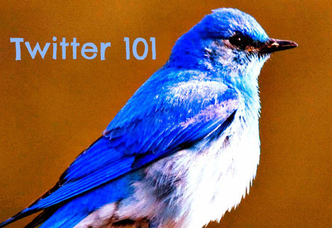 Twitter 101: Links, Tips and More | Social Media: Don't Hate the Hashtag | Scoop.it