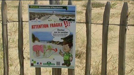 Attention fragile - Protégeons nos dunes !  | Zones humides - Ramsar - Océans | Scoop.it