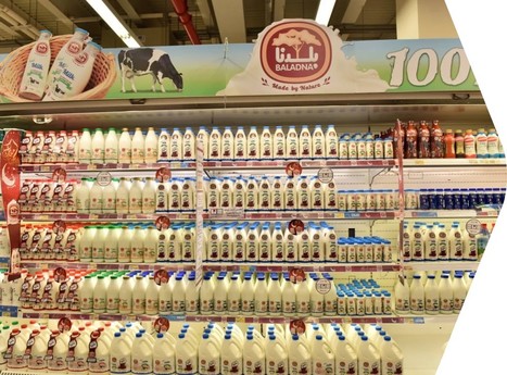 Production de lait : le groupe qatari Baladna veut investir en Algérie | Lait de Normandie... et d'ailleurs | Scoop.it