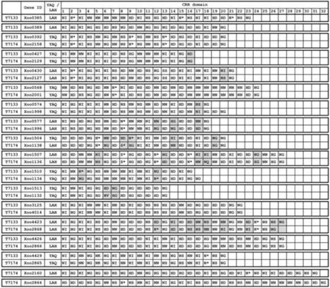 Identification of TAL and iTAL effectors in Japanese strain T7133 of Xanthomonas oryzae pv. oryzae - Bacterial and Phytoplasma Diseases | TAL effector science | Scoop.it