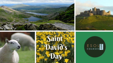 Saint David's Day - Free Teaching and Learning Resources | Free Teaching & Learning Resources for ELT | Scoop.it