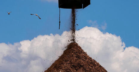 Wood Pellet Mills Are Prone to Catching Fire. Why Build Them in California? | by Tom Brown | Wired.com | @The Convergence of ICT, the Environment, Climate Change, EV and HEV Transportation & Distributed Renewable Energy | Scoop.it
