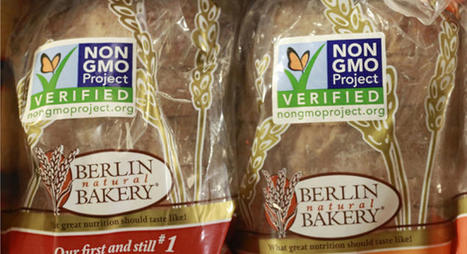 WHY THE UPRISING?  Global Marches And GMO Labeling Initiatives | YOUR FOOD, YOUR ENVIRONMENT, YOUR HEALTH: #Biotech #GMOs #Pesticides #Chemicals #FactoryFarms #CAFOs #BigFood | Scoop.it