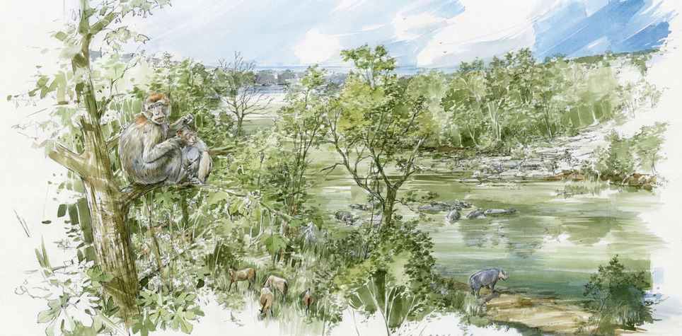 Quand macaques et hippopotames se baignaient dans la&nbsp;Seine il y a 400&nbsp;000&nbsp;ans | Veille territoriale AURH | Scoop.it