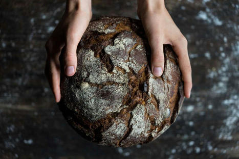 Slow FOOD présente Slow Bread : pour une nouvelle vision du pain "bon, propre et juste" | CIHEAM Press Review | Scoop.it