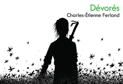 Quand Montr&eacute;al est attaqu&eacute; par des gu&ecirc;pes g&eacute;antes | Vari&eacute;t&eacute;s entomologiques | Scoop.it