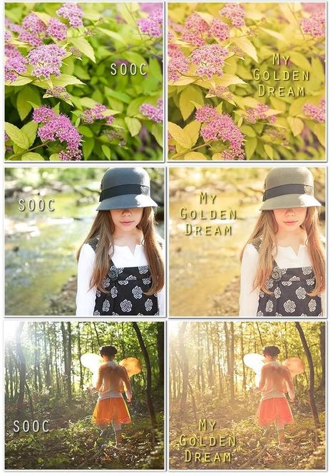 NEW! My Golden Dream | Presets Lightroom | Scoop.it