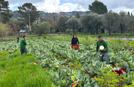Mara&icirc;cher public : le nouveau m&eacute;tier de la transition alimentaire - Ademe | Pour innover en agriculture | Scoop.it