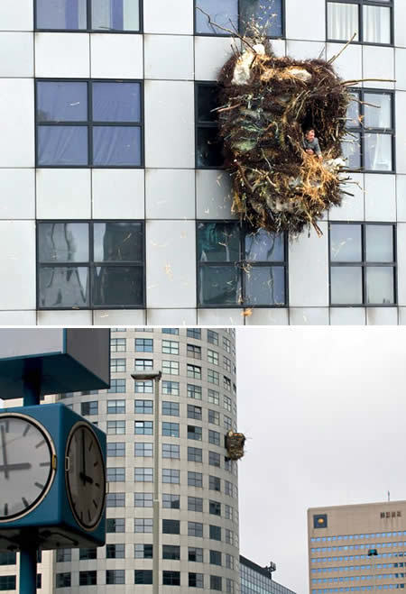 Benjamin Verdonck:  "the Great Swallow" | Art Installations, Sculpture, Contemporary Art | Scoop.it