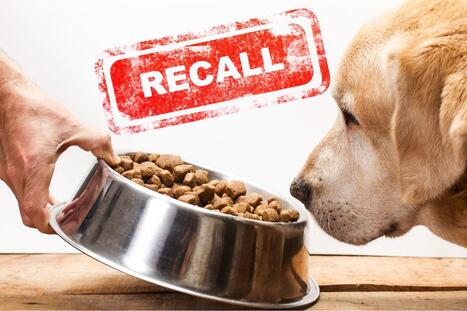 Wisconsin Pet Food Company Recalls Treats Over Salmonella Concern | Industry 411 - Waste Management | Scoop.it