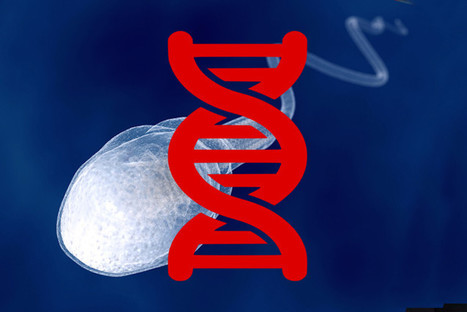 New GM Crops Use RNA Interference Technology for Mass Sterilization | Health Supreme | Scoop.it