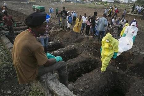 Economic impact of Ebola less severe than first thought: World Bank | Ebola Outbreak 2014 | Scoop.it