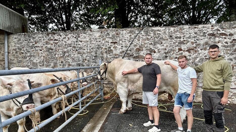 &laquo;&nbsp;C&rsquo;est comme un r&ecirc;ve d&rsquo;enfant&nbsp;&raquo;&nbsp;: &agrave; La Ch&acirc;taigneraie, les jeunes agriculteurs du Comice toujours motiv&eacute;s - Ouest France [Abonn&eacute;s] | Agriculture en Pays de la Loire | Scoop.it
