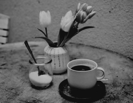 Morning Tea and Other Poems&mdash; Sabahattin Kudret Aksal&nbsp;TRANSLATED FROM THE TURKISH BY NEIL P. DOHERTY | The Irish Literary Times | Scoop.it