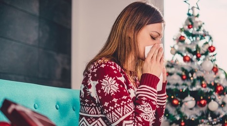 L’allergie au sapin de Noël | Variétés entomologiques | Scoop.it