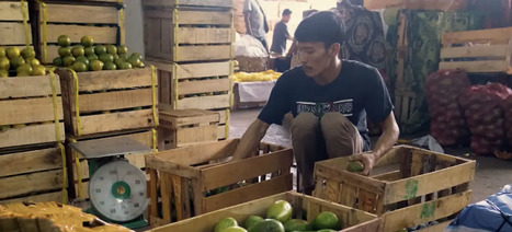 INDONESIA: Feeding one of the world's largest cities | ASIES | Scoop.it