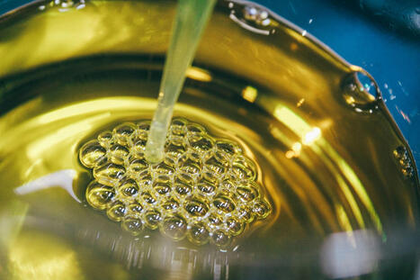 Calls for using cooking oil to replace fossil fuels in PORTUGAL&nbsp;&nbsp; | CIHEAM Press Review | Scoop.it