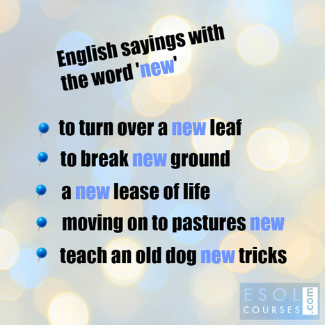 English Expressions With The Word 'New' | English Word Power | Scoop.it