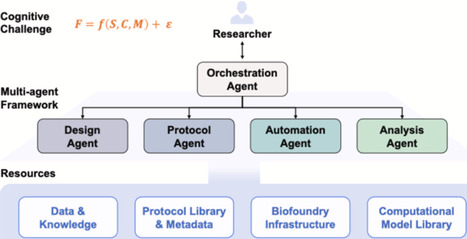 Large language model agents as experimental orchestrators in data-driven enzyme engineering | Cin | RMH | Scoop.it