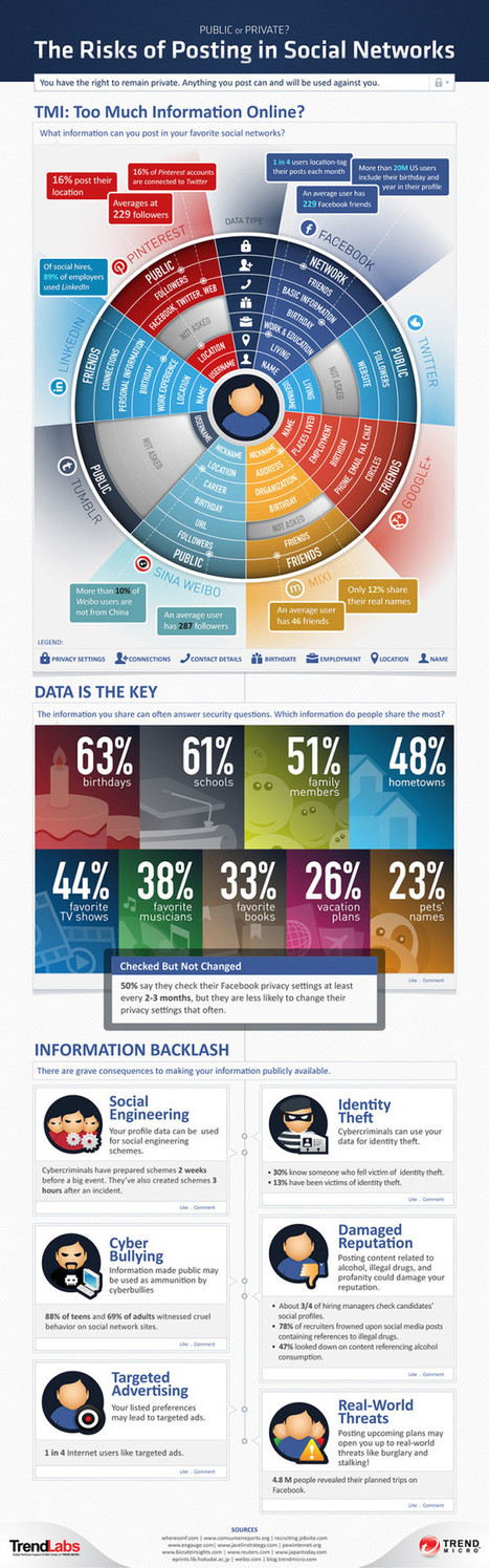 INFOGRAPHIC: The risk of posting in social networks | information analyst | Scoop.it