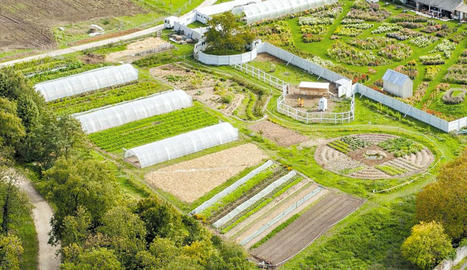 ALGÉRIE : Secteur agricole : «Elaborer une nouvelle vision sur le rôle  des fermes pilotes» | CIHEAM Press Review | Scoop.it