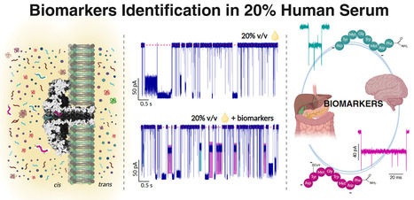 Caract&eacute;risation en mol&eacute;cule unique de deux formes d&rsquo;un biomarqueur dans le s&eacute;rum humain avec un nanopore | Life Sciences Universit&eacute; Paris-Saclay | Scoop.it
