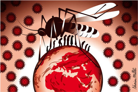 Le virus du chikungunya s'installe aux Antilles | EntomoNews | Scoop.it