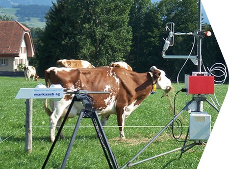 Les émissions d'oxyde nitreux provenant des vaches au pâturage sont inférieures aux prévisions | Lait de Normandie... et d'ailleurs | Scoop.it