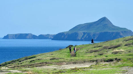 What to expect at Channel Islands National Park during shutdown | Coastal Restoration | Scoop.it