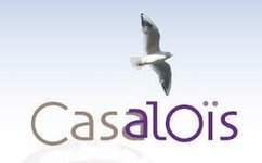 Casaloïs : vivre en couple malgré la maladie d'Alzheimer | Alzheimer, maladies neuro-dégénératives et gérontologie générale | Scoop.it