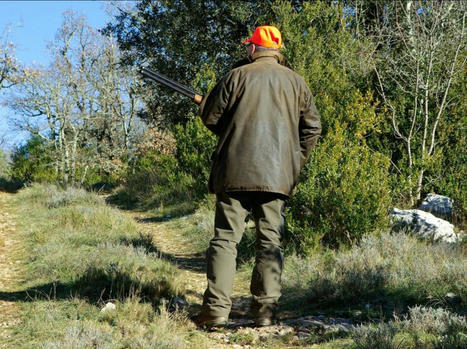 78% des Français pour l'interdiction de la chasse le dimanche | Biodiversité | Scoop.it