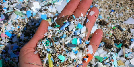 'Time bomb'?: Race to identify health effects of microplastics - RawStory.com | Agents of Behemoth | Scoop.it