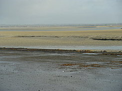 Horace, Odes, I, 10 (&agrave; Mercure) - fonsbandusiae - cours de latin | Net-plus-ultra | Scoop.it